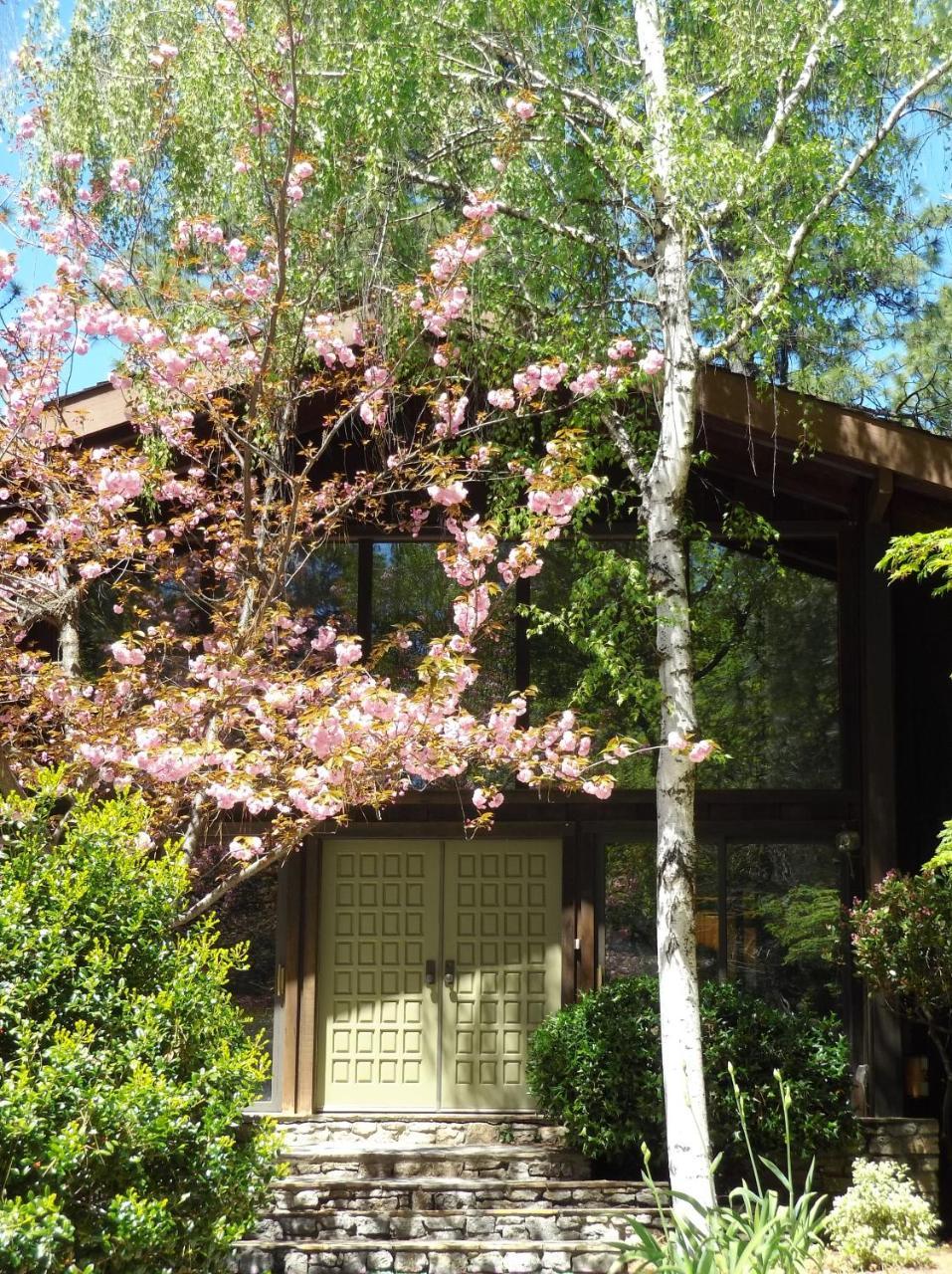 Ponderosa Ridge A B & B Placerville Εξωτερικό φωτογραφία