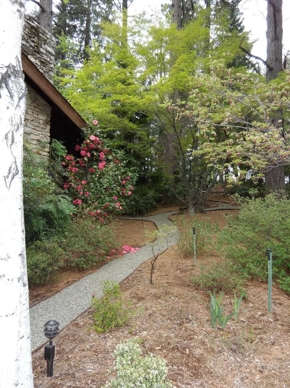 Ponderosa Ridge A B & B Placerville Εξωτερικό φωτογραφία